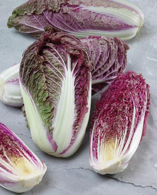 West Coast Seeds (Red Scarvita Cabbage)