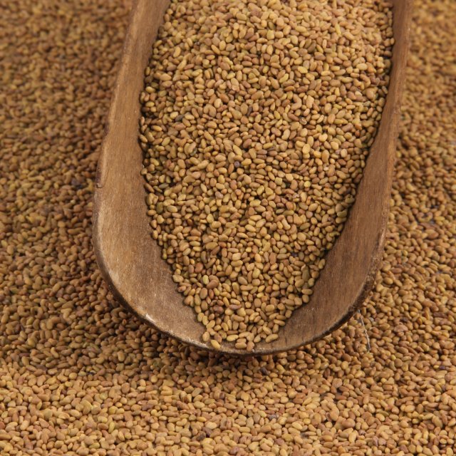 Organic Alfalfa Seeds (1 LB)