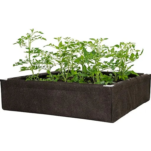 Dirt Pot Box, GeoPlanter & Tray Liner