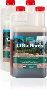 Canna COGr Flores A&B (Special Order)
