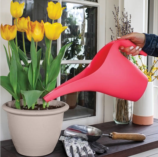HC Essential Watering Cans 2L (CLEARANCE 30% OFF)