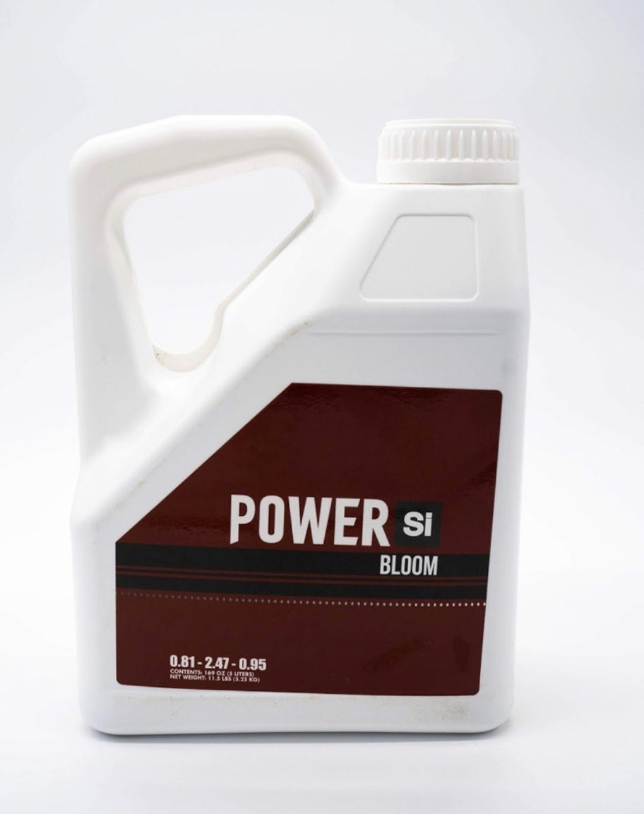 Power Si Bloom