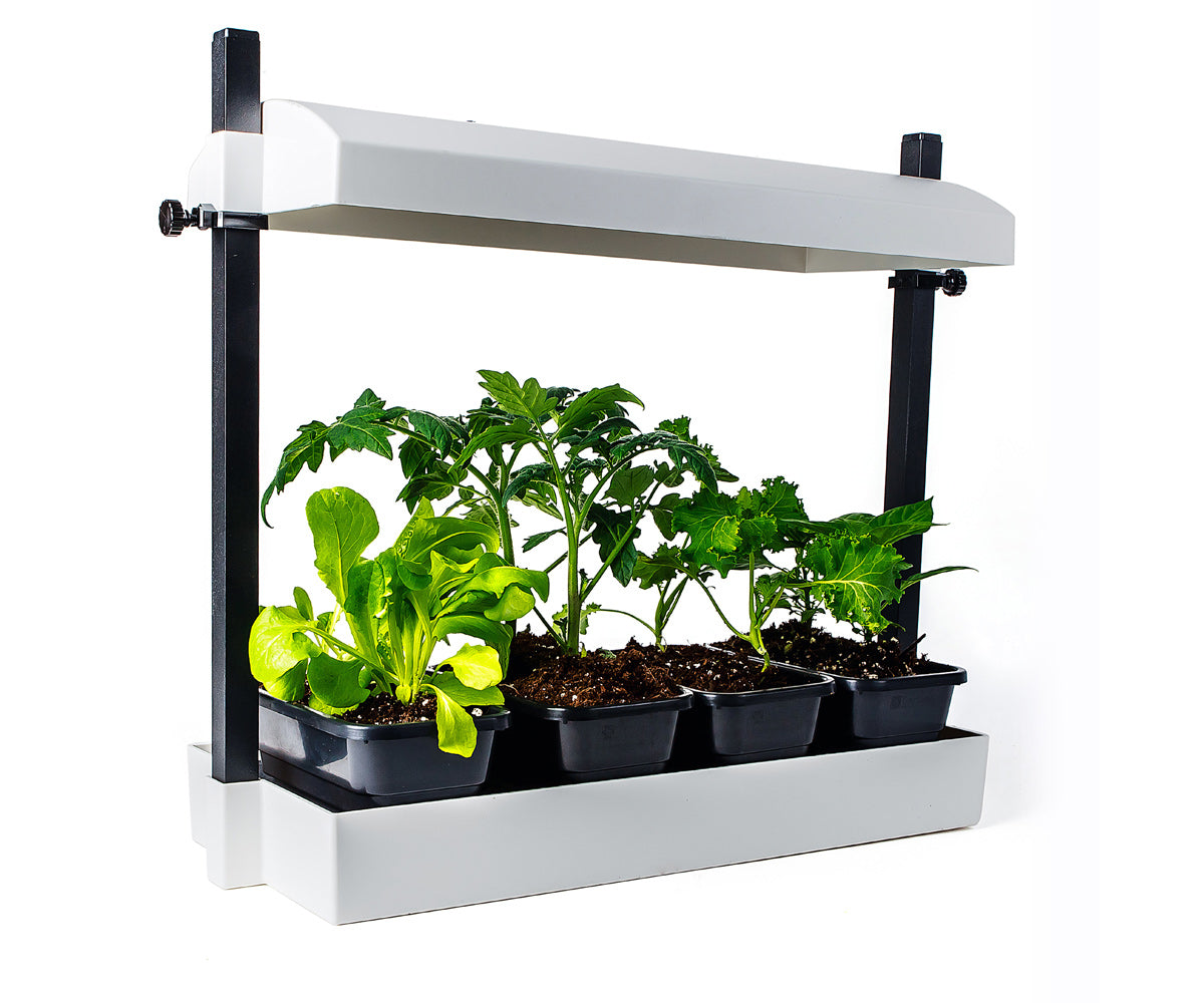 sun blaster micro led grow light garden white