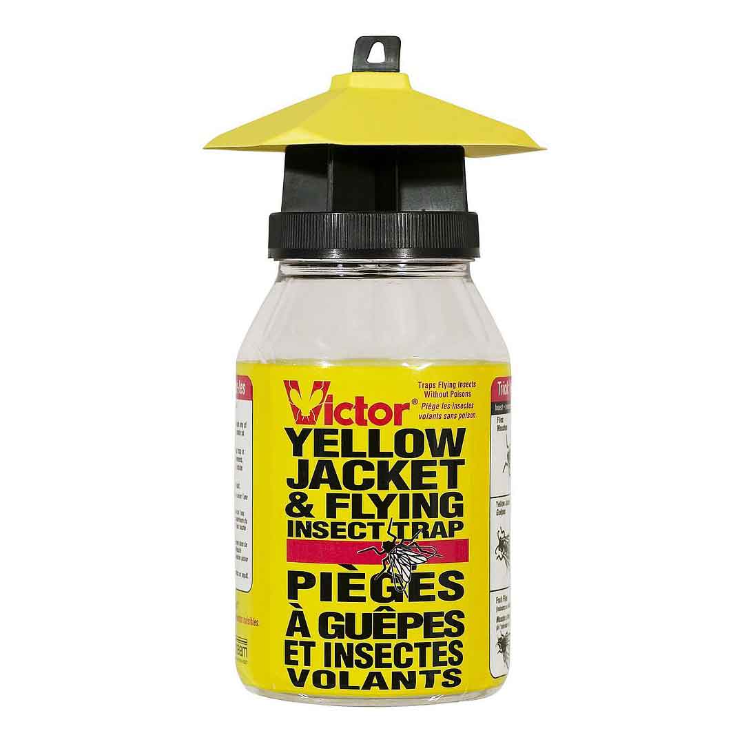Victor 可重复使用的黄色夹克昆虫陷阱和磁铁袋陷阱