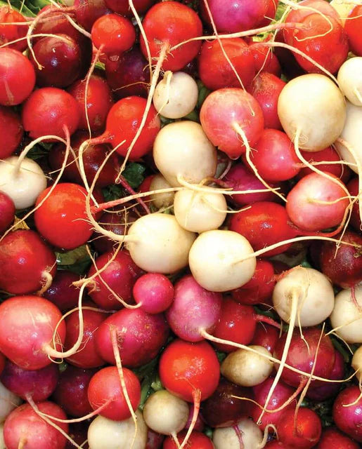 West Coast Seeds (Easter Egg II Radish)