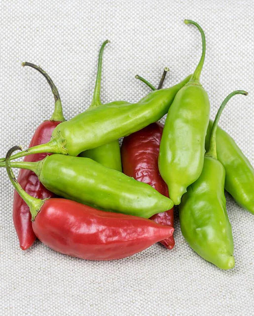 West Coast Seeds (Aji Rico Peppers)