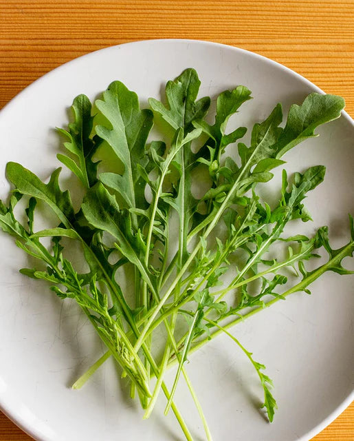 Graines de la côte ouest (Bellezia Arugula) (certifiées biologiques)