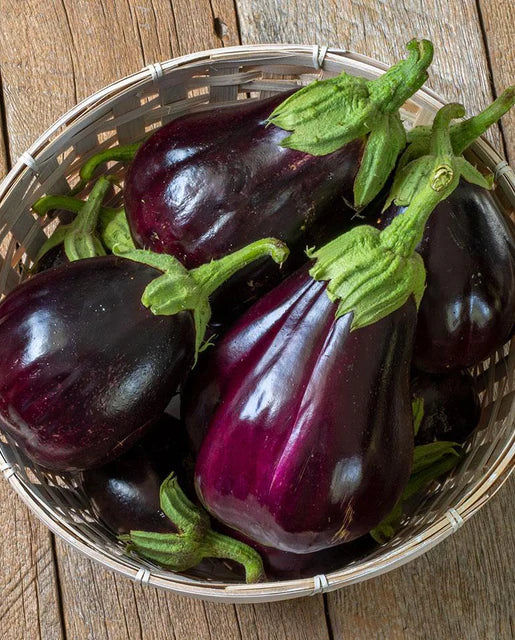 West Coast Seeds (Black Beauty Eggplants) (Certified Organic)