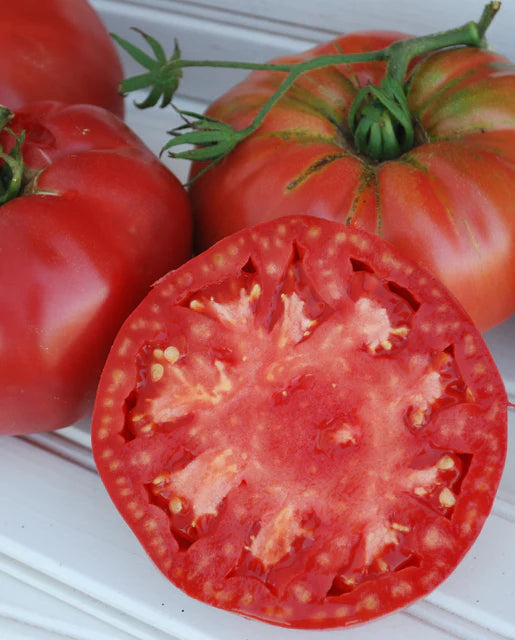 Graines de la côte ouest (tomates violettes de Pruden) (certifiées biologiques)