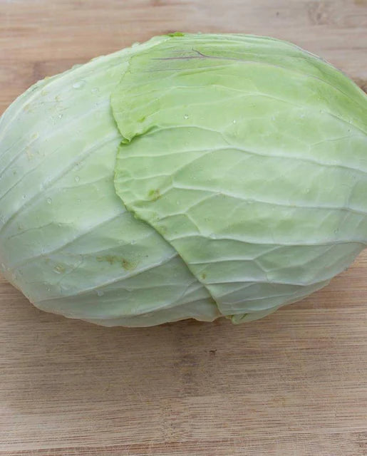 West Coast Seeds (Taiwan Cabbage)