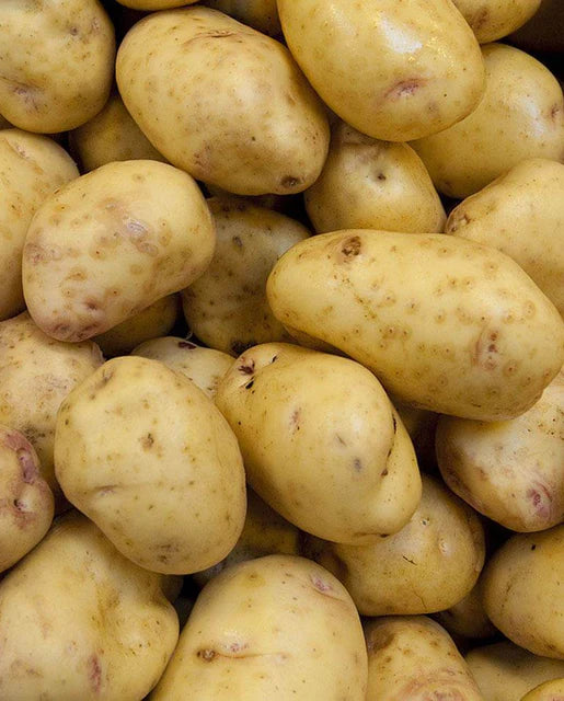 West Coast Seeds (Yukon Gold Potatoes) (Certified Organic) (Special Order)